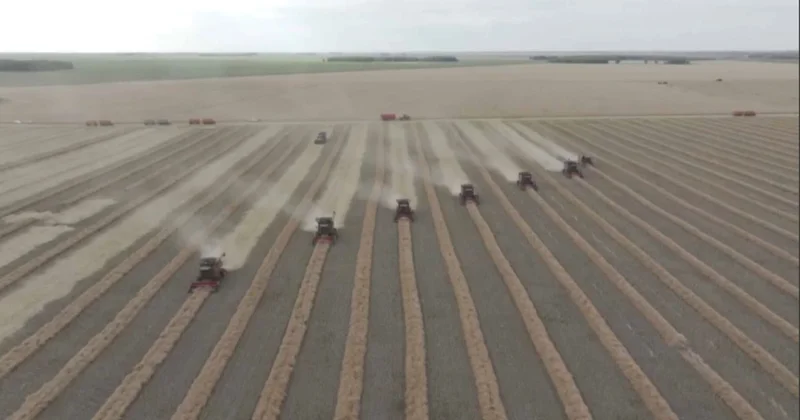 Солтүстікте 6,5 млн тонна бидай жиналды