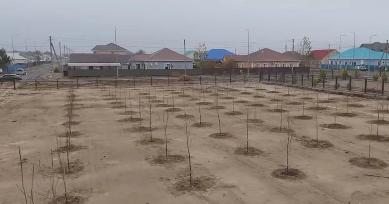 Дамбы ауылына жаңа саябақ салынады