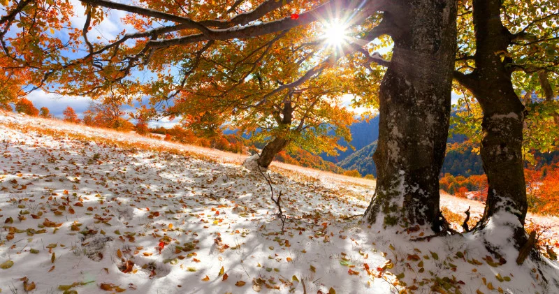 Қар және +25 градусқа дейін жылы: қарашада ауа райы қандай болады?