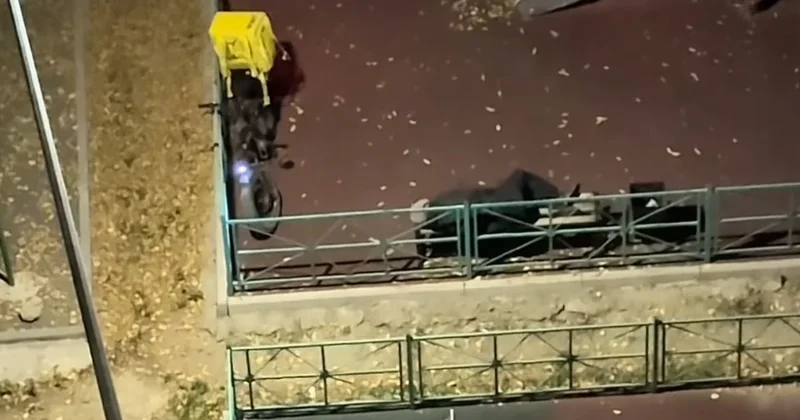 Спящий на детской площадке курьер в Астане покорил казахстанцев