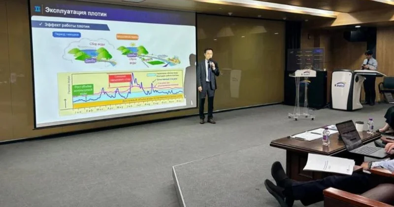 Гидроэнергетикалық жобалар: Оңтүстік Корея Қазақстанға қалай көмектеспек?