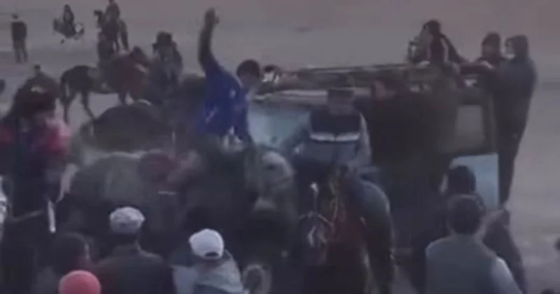 Игра в кокпар обернулась скандалом в Кызылординской области: авто сбило несколько лошадей