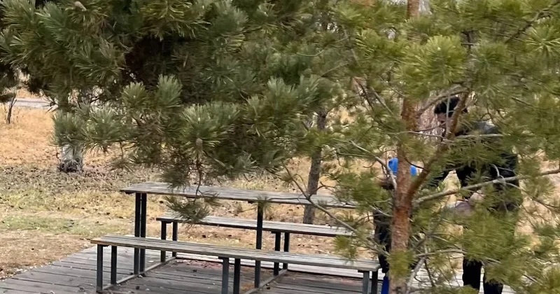 Мужчина разделывал диких уток на детской площадке в Астане