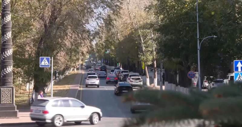 ЖИ жүргізушілерге көмектеседі