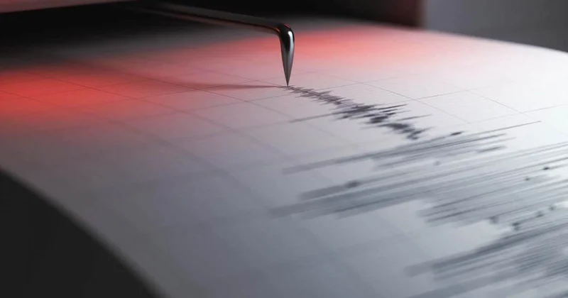 Землетрясение ощутили жители Шымкента