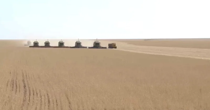 Отандық АӨК ₸700 млрд қолдау алды