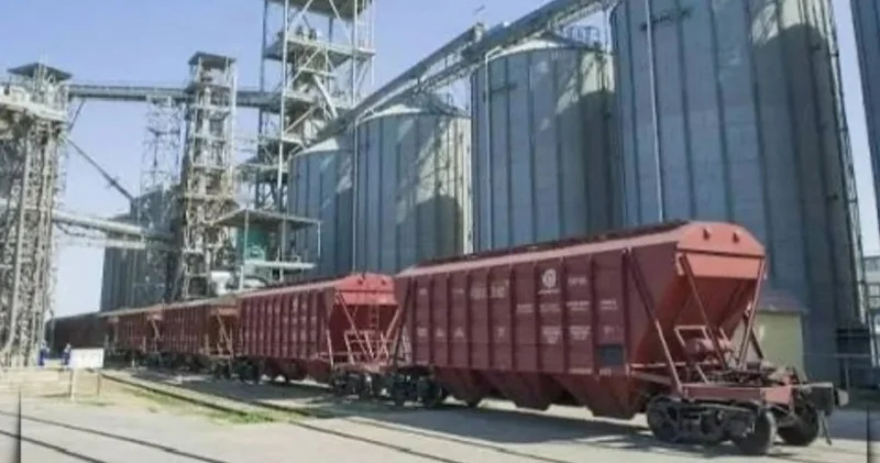 Елден қанша астық экспортталды