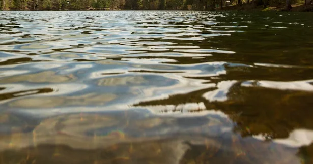Президент тапсырмасы: Үкімет СҚО дағы бөгетті қалпына келтіруге 1,4 млрд теңге бөлді