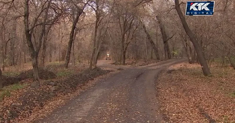 Петицию против благоустройства рощи Баума готовят активисты в Алматы (видео)