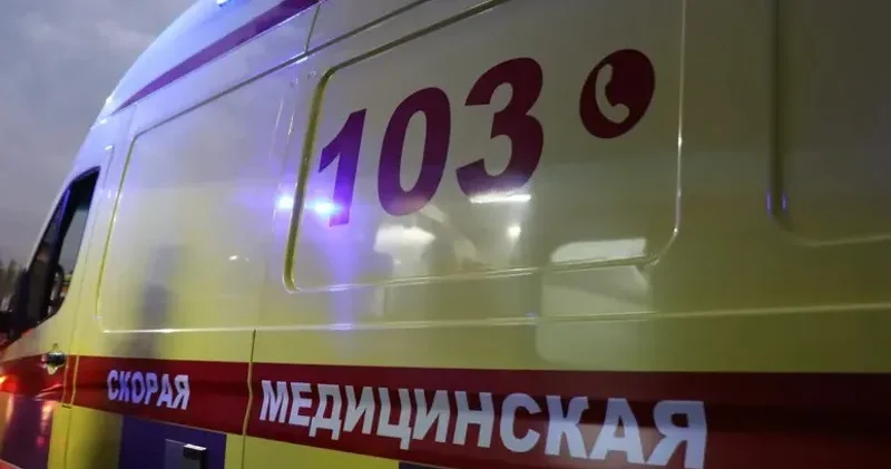 Маңғыстау облысында қаңғыбас мысық тістеп алған ер адам көз жұмды