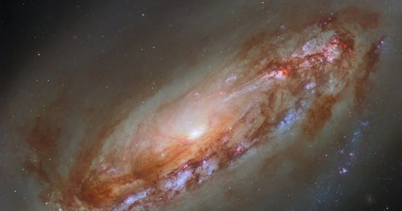 Гороскоп на 4 ноября: день проверок и первых результатов