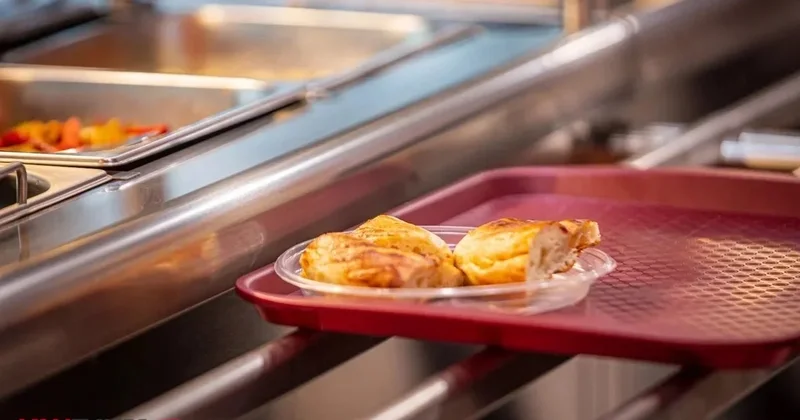 Жуки в еде: в СКО начались проверки школьных столовых после скандала