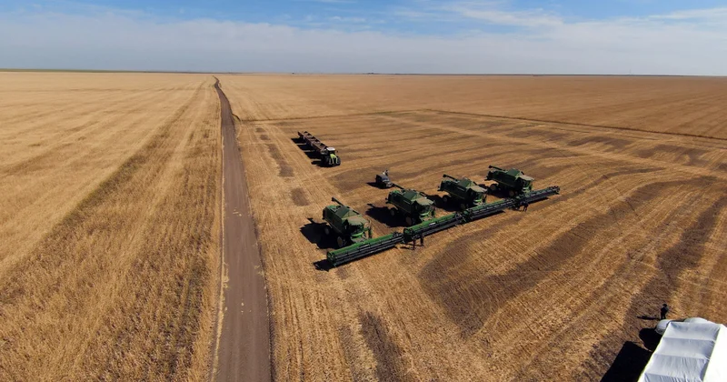 Егіннен мол өнім алды