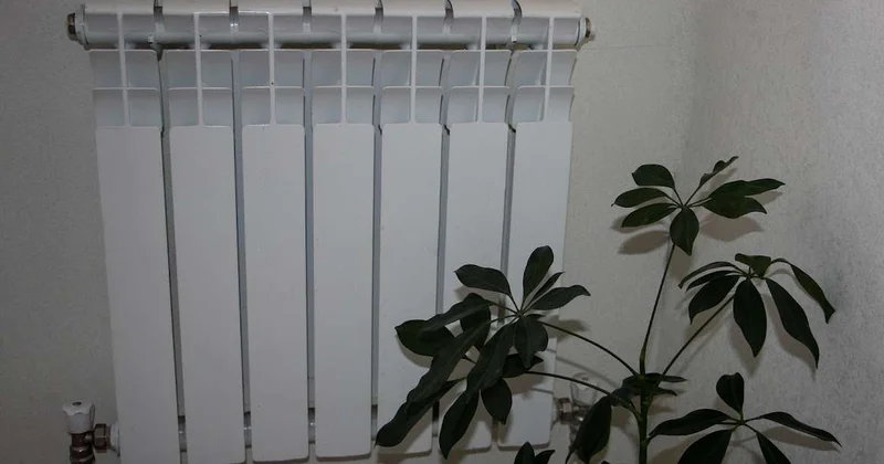 У котельной должен быть рачительный хозяин