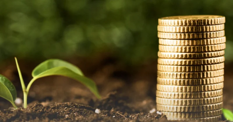 Бір реттік Қарызды өсімпұлсыз төле акциясы басталды