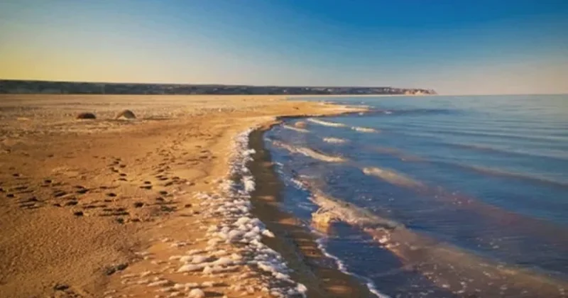 Экожүйені жақсартатын жоба