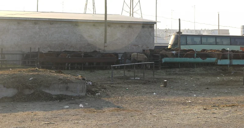 Шағын аудан тұрғындарының шағымы