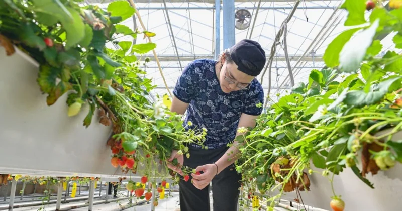 Мемлекеттік грант жастарды қолдаудың ұтымды тетігі