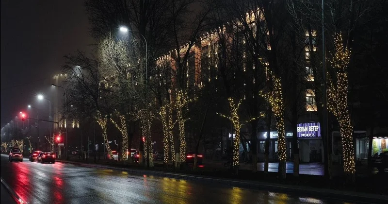 Улицы Павлодара преобразили, подсветив более 700 деревьев