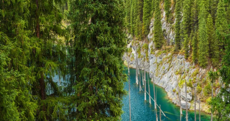 Көлсайда туристер мінген көлік аударылып, бір адам қаза тапты