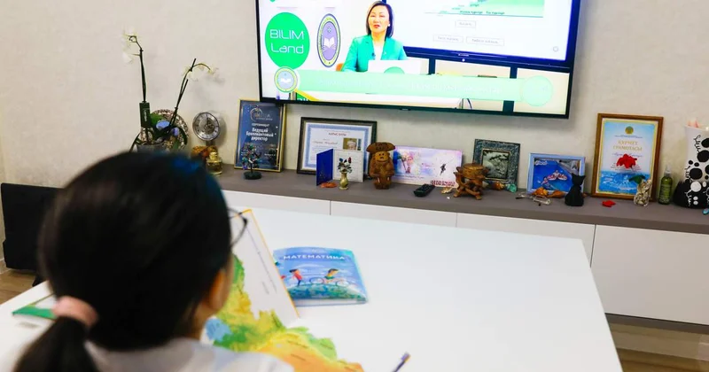 Қостанайда мектеп оқушылары аптаның соңына дейін онлайн оқитын болды