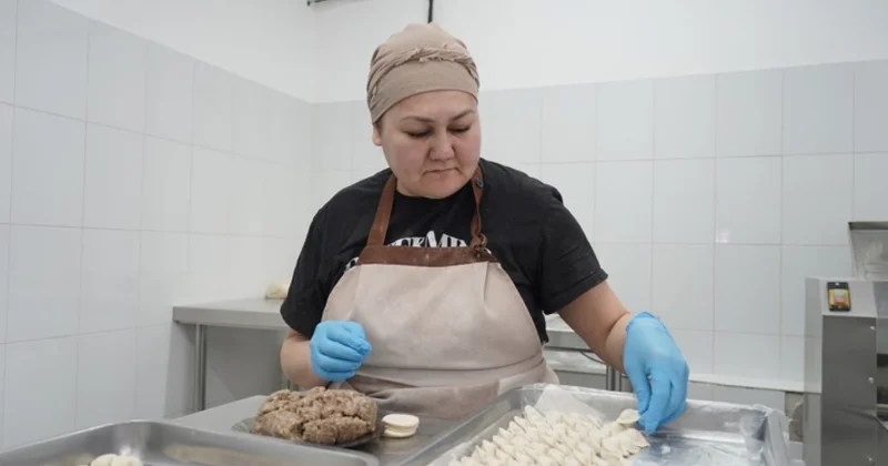 Қимылдаған қыр асады