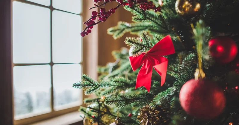 Могут ли в Алматы отменить новогодние утренники и ёлки в школах из за ОРВИ, ответила санврач