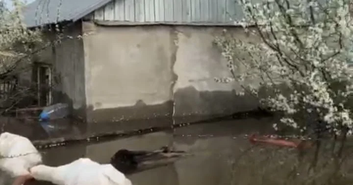 Үйі суға кеткен тұрғынды сотқа берген БҚО әкімдігі арызын қайтып алды