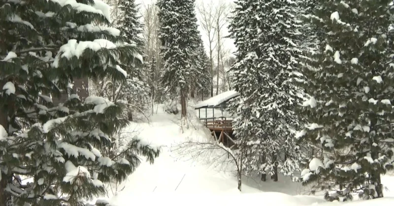 2025 жылы ШҚО ға барған турист саны артты