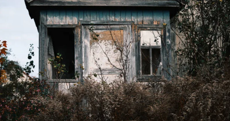 Бес баласын енесіне тастап кетіп қалған : Атырауда жоғалып кеткен отбасына қатысты тың дерек шықты