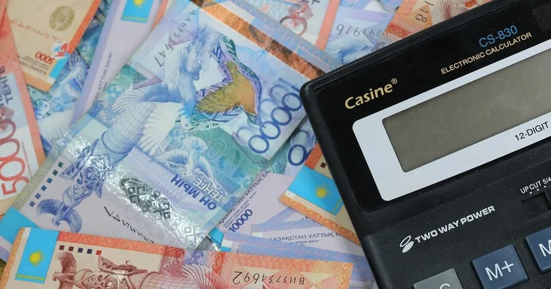 Что нужно знать плательщикам НДС при переходе на специальные налоговые режимы в Казахстане