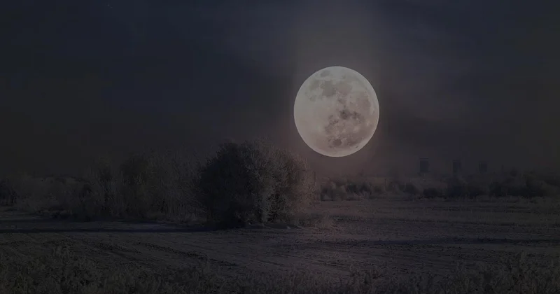 Казахстанцы увидят полнолуние 2026 года с падающими звездами