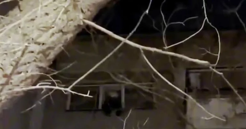 Сидящая на подоконнике девочка стала причиной вызова спасателей в Караганде