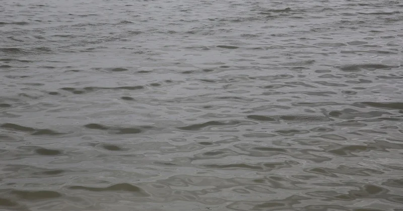 Черный рынок воды: 365 нарушителей оштрафовали за год в Казахстане