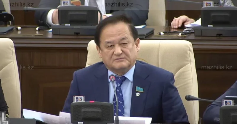 Тілге қатысты кез келген қатаң шешім сыртқы күштерге ақпараттық, саяси манипуляция жасауға дайын аргумент Қазыбек Иса