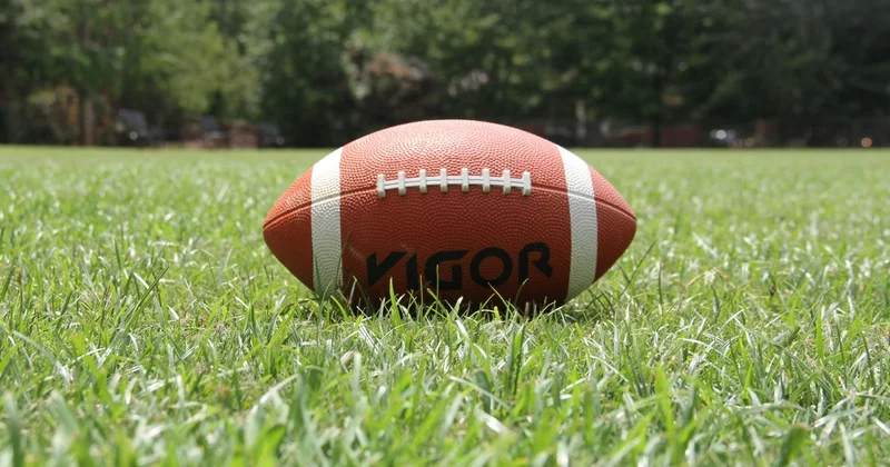 Жетісу облысында регби ойынын дамытуға 387 млн теңге бөлінген