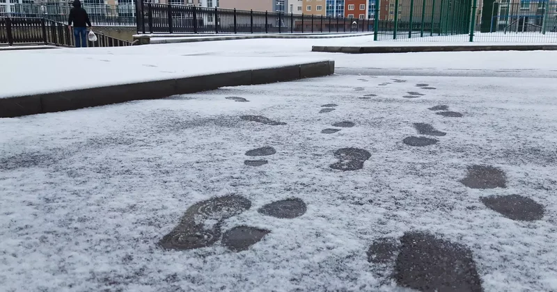 Жеке детективтер үшін лицензия енгізілуі мүмкін