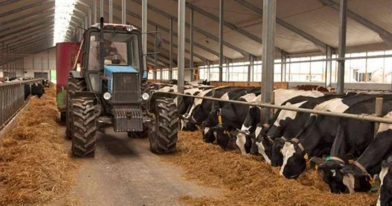 Соңғы 5 жылда ауыл шаруашылығы кооперативтерінің саны 1,5 есе артты