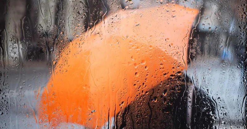 Над Шымкентом пройдет дождь