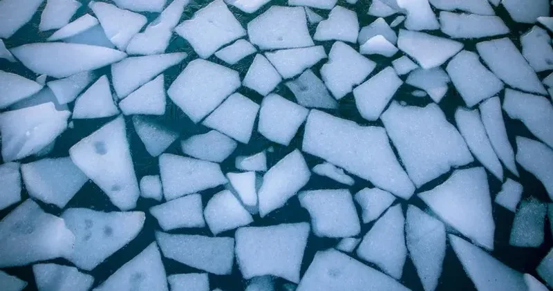 Таразда мұз жарылып, суға түсіп кеткен баланы құтқарған азамат марапатталды