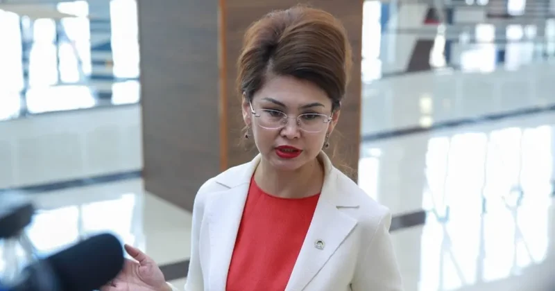 "Провокаторы дезинформируют аудиторию". Балаева отреагировала на фейки о проекте новой Конституции