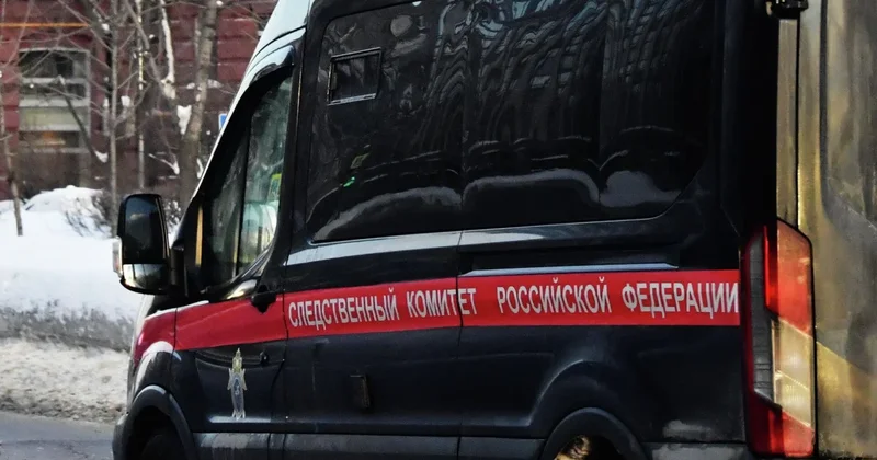 Двоих граждан Казахстана обвинили в диверсии в России