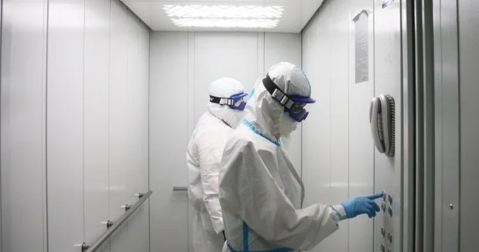 Ресейде чикунгунья қызбасы анықталды