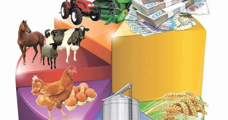 Деньги на посевную выдали в январе