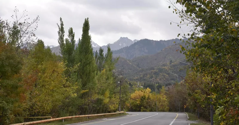 Тауда мал баққан: Алматы облысында бір отбасынан 4 адам қайтыс болды