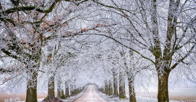 В Казахстане потеплеет, но есть нюанс