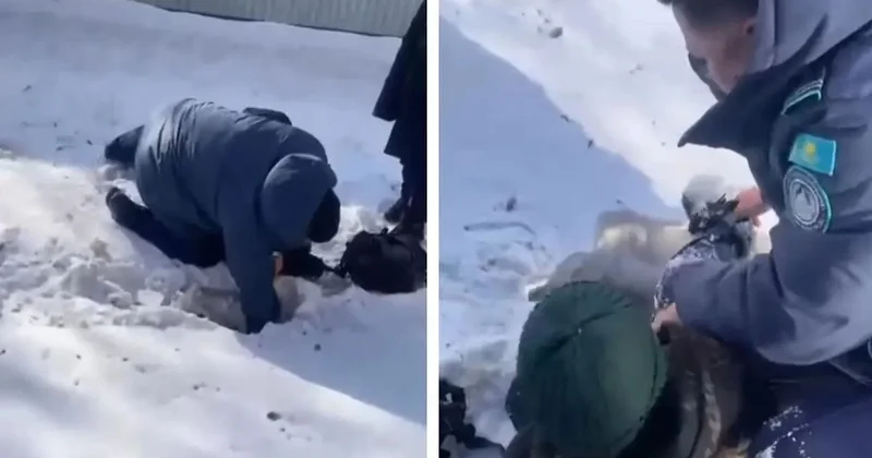 Не дали замерзнуть