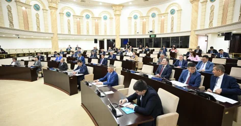 Мажилис принял в работу поправки по деятельности спецслужб