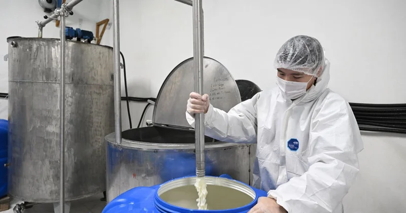 Балқымыз: как идея превратилась в семейный бизнес