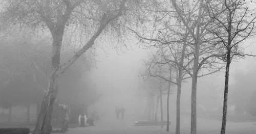 Өскеменді не себепті қыста жиі тұман тұмшалайды